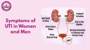 Symptoms of UTI in Women and Men